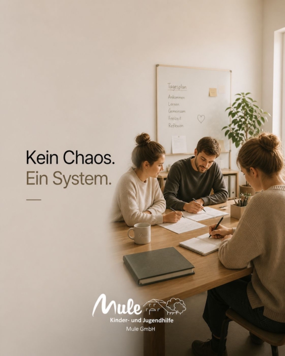 Kein Chaos. Ein System.